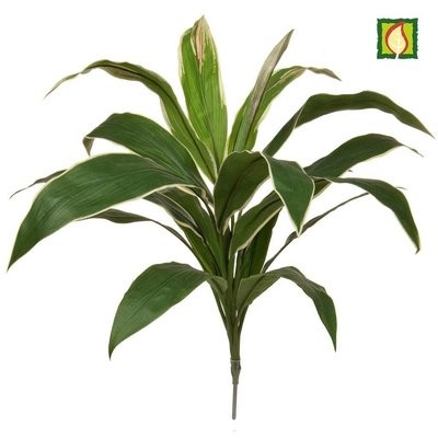 Artificial Cordyline Green/Yellow FR (Buy 6 & get 10% off)
