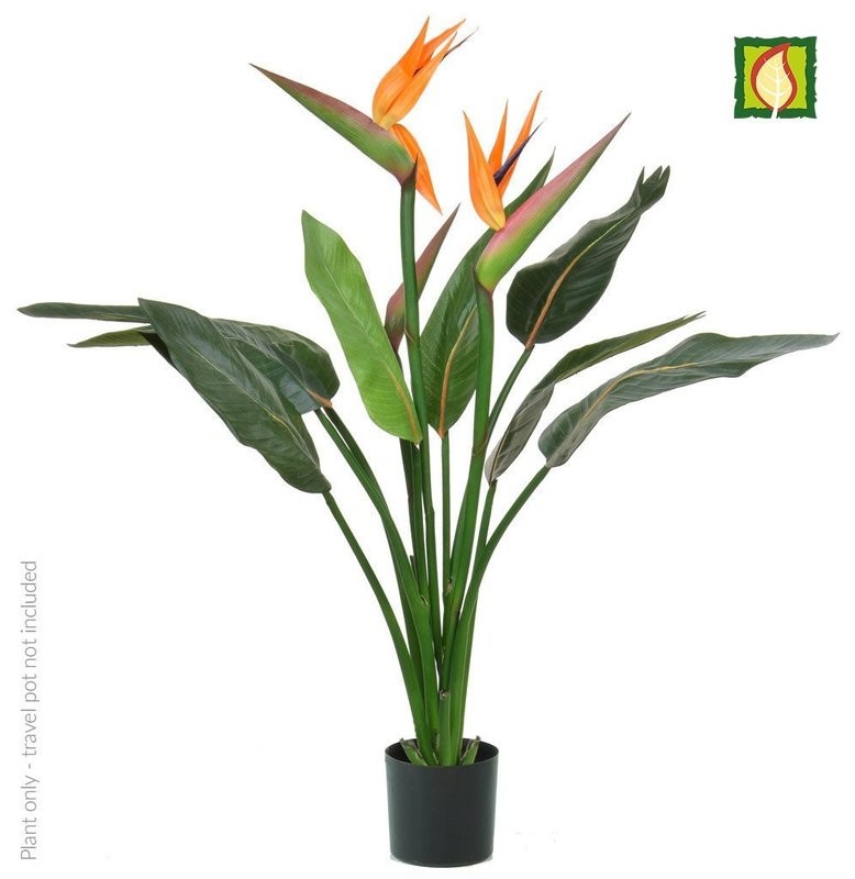 Artificial Strelitzia or Bird Of Paradise Plant