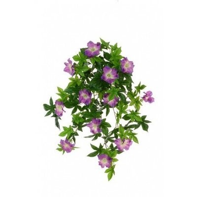 Morning Glory Trail 58cm (Buy 6 and get 10% off )