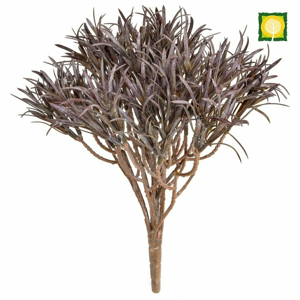 UV Podocarpus in Red Brown 46cm