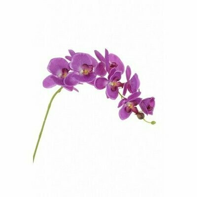 Artificial Orchids & Silk Flowers