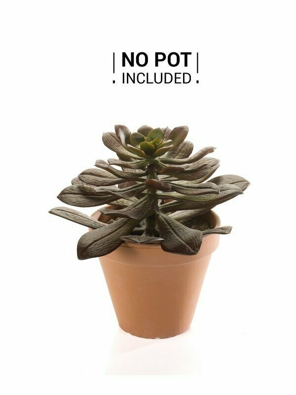 Artificial Echeveria plant 28cm Burgundy