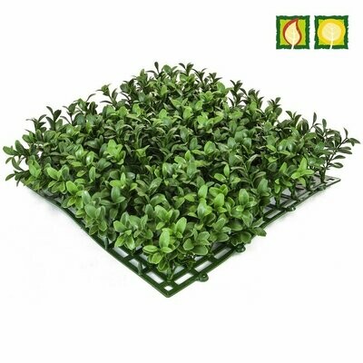 Topiary Mat Bux Top 25cm Sq FR UVSILX (Buy 6 squares and get 10% off)