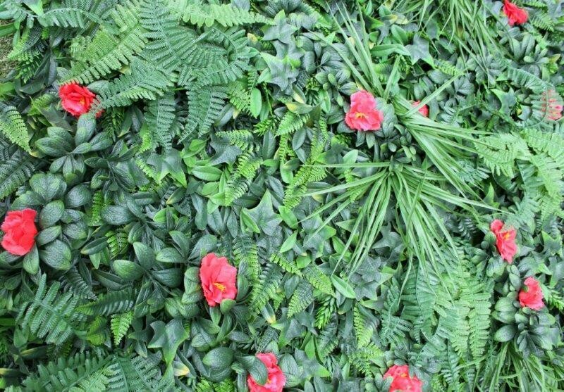 Shutter Grass Green Wall with Hibiscus 1m x 1m