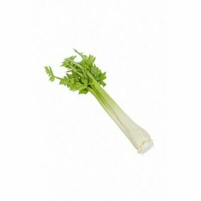 Celery Natural Touch 39cm