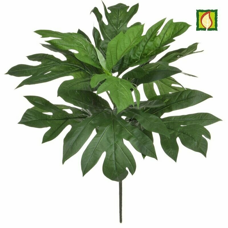 Box of 6 Artificial Artocarpus FR