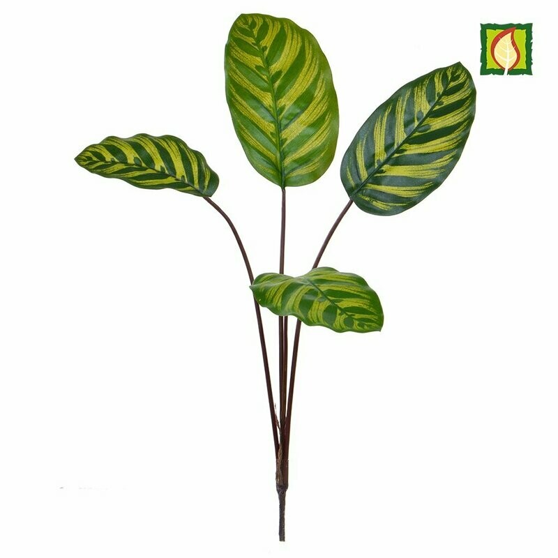 Artificial Calathea Makoyana FR Box of 12