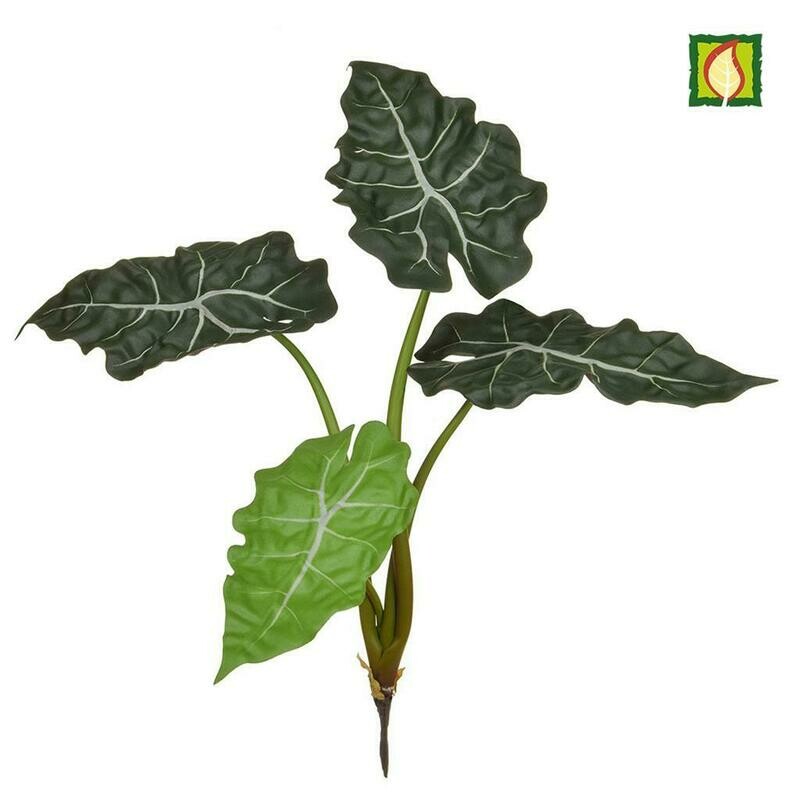 Artificial Alocasia Bush FR
