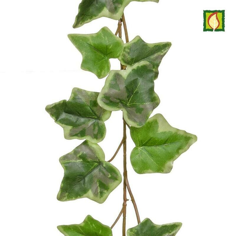 Variegated Ivy Garland 220cm FR (Buy 6 & get 10% off)