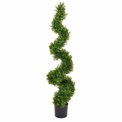 Topiary Buxus Spiral 120cm
