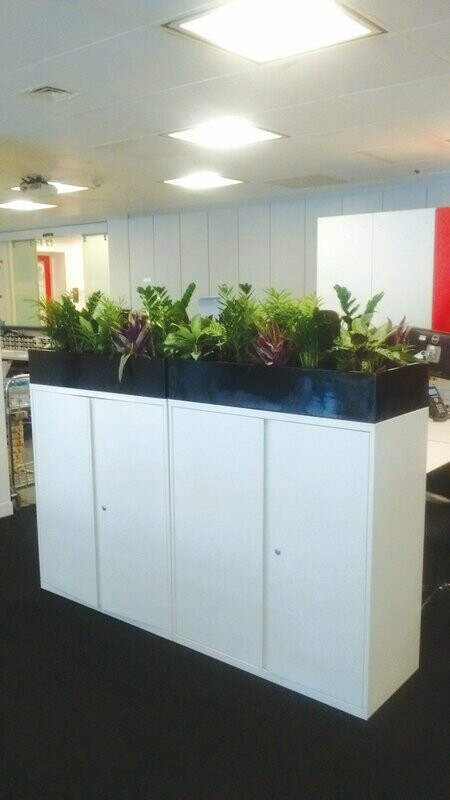 Cabinet Top Planter (Natural Finish)