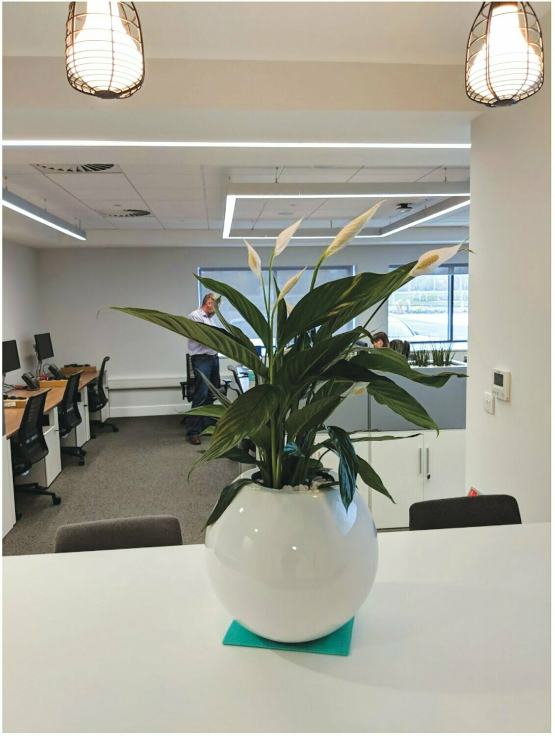 Round Slice Moon Planter (Texture Finish)