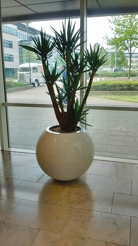 Round Slice Moon Planter (Gloss Finish)