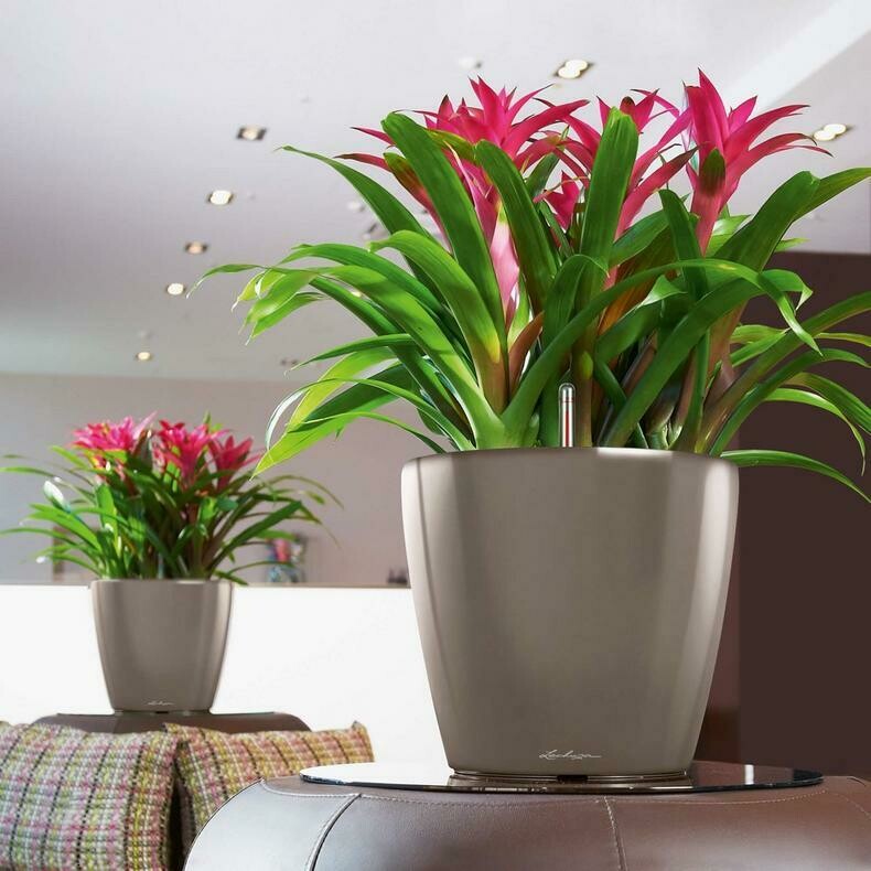 Classico Premium 35 LS Planter