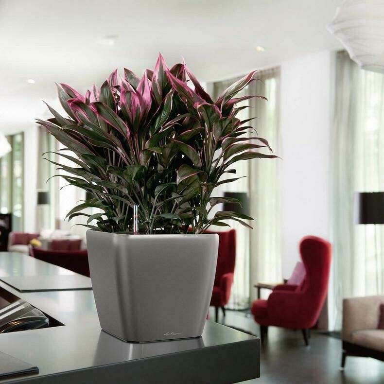 Quadro Premium LS 28 Planter