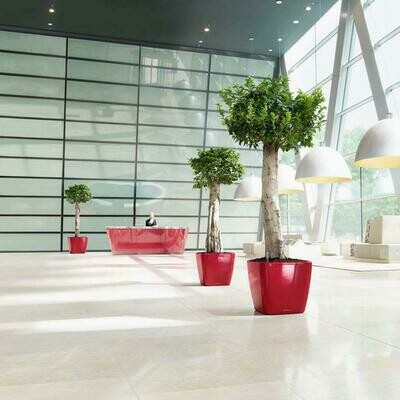Quadro Premium LS 50 Planter