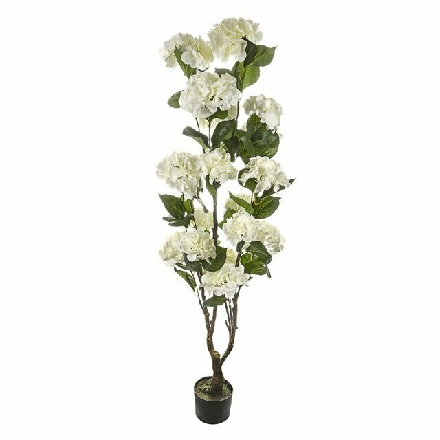 Potted Hydrangea Tree