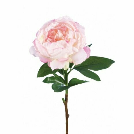 Artificial Garden Peony 70cm