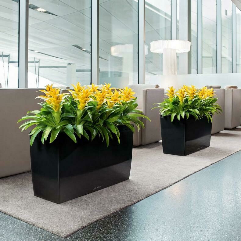 Cararo Trough All-in-One Set