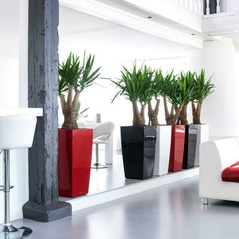 Cubico 40 Anthracite PLANTER ONLY