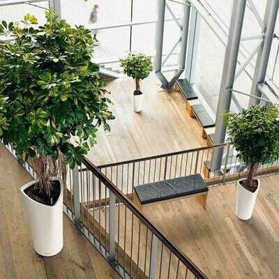 Delta 40 Planter All in One