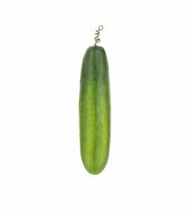 Artificial Cucumber