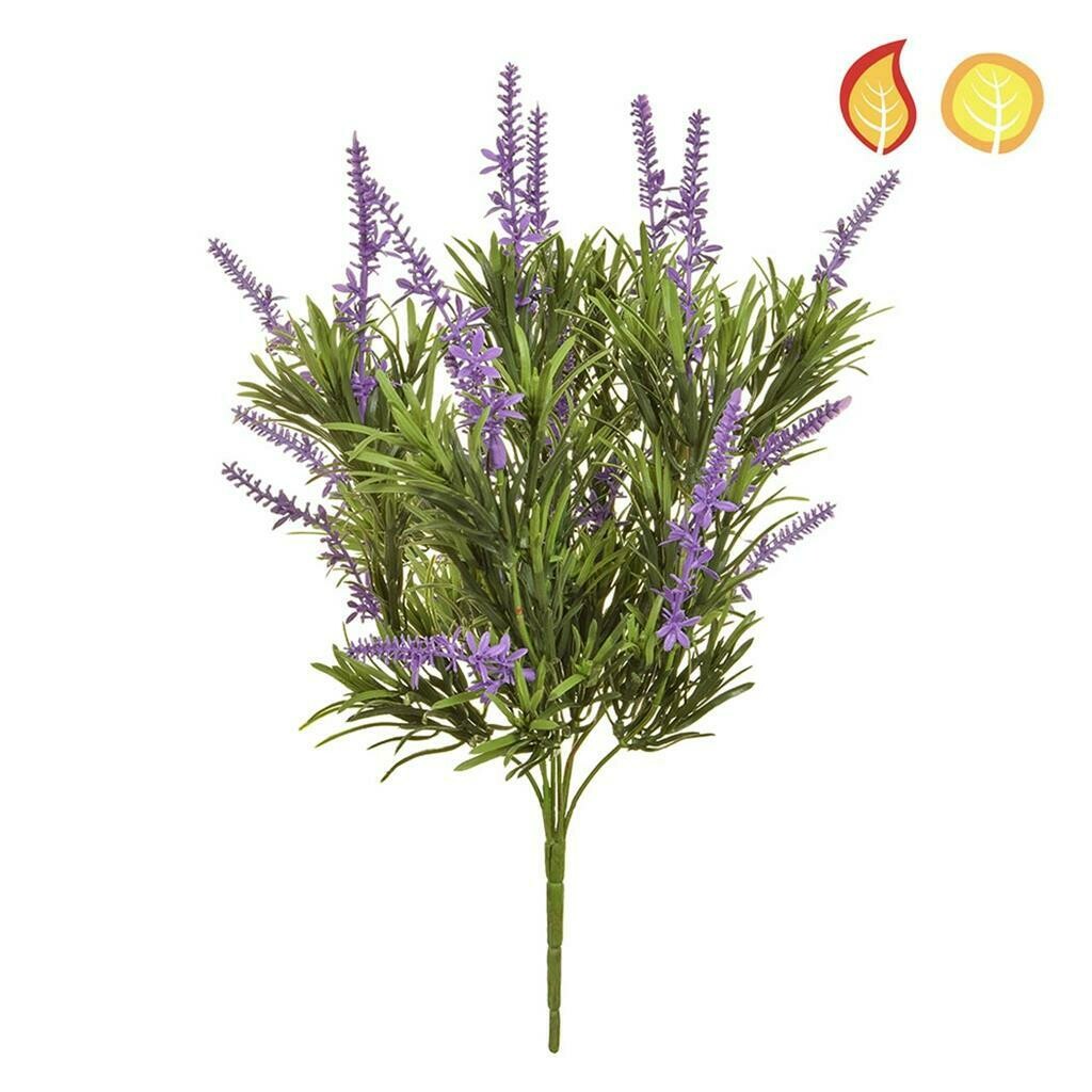 Fr Lavender Plant in Blue 46cm UV