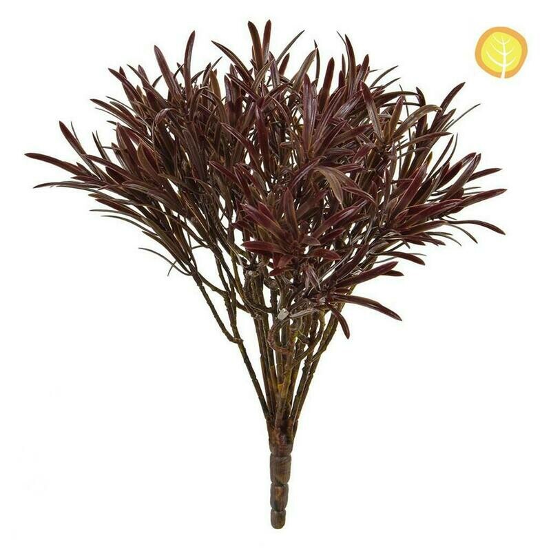 Podocarpus in Brown 30cm UV (Buy 6 & get 10% off)