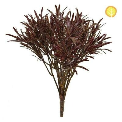 Podocarpus in Brown 30cm UV (Buy 6 & get 10% off)