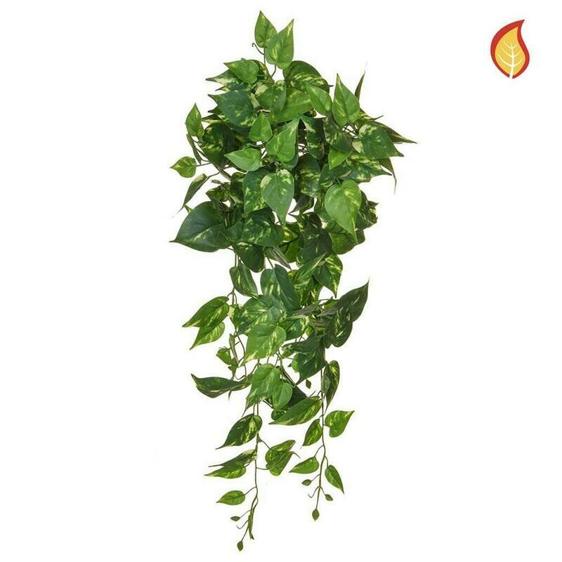 Fire Retardant  80cm  Pothos Trail (Lead time 5-7 days)