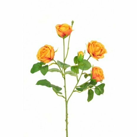 Abeba Rose Spray 60cm