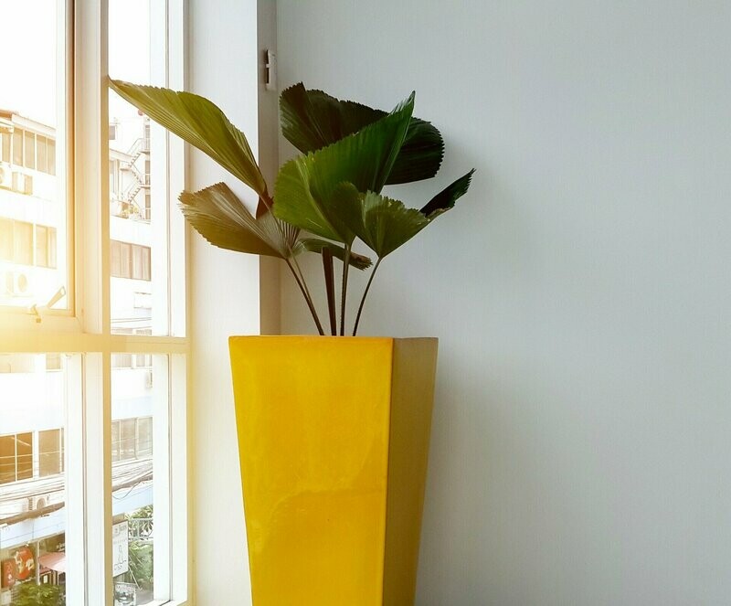 Linear Fine (Gloss Finish ) ex- Kubik Lite