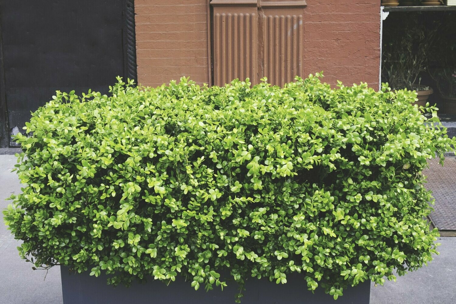 Lipped Windowbox (Texture Finish)