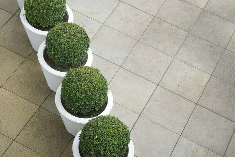 Round Planters (Gloss Finish)