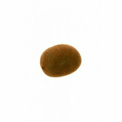 Artificial Kiwi Fruit 7cm (Buy Box of 6 and get 10%)