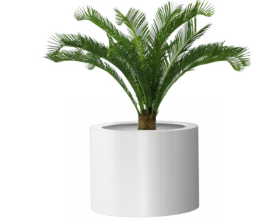 Round Planters (Textured Finish in Natural Shades)