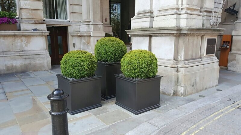 Grosvenor Cube (Gloss)