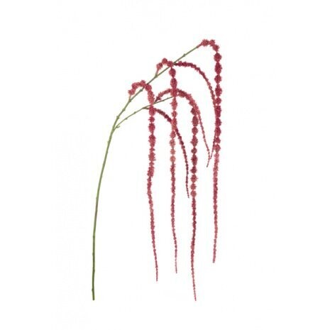 147cm Amaranthus Spray