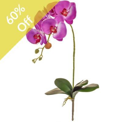 Artificial Phalaenopsis Orchid with Leaves 55cm