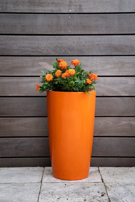 Cylindrus Planter (Texture Finish)