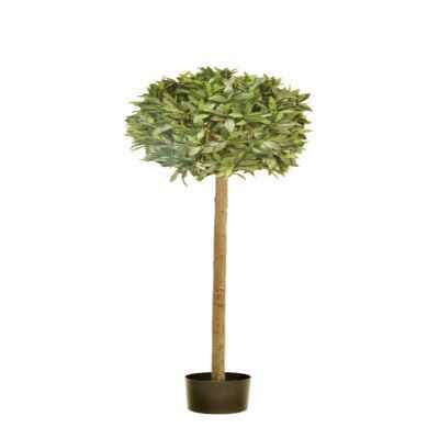 140cm Bay  Topiary in Pot