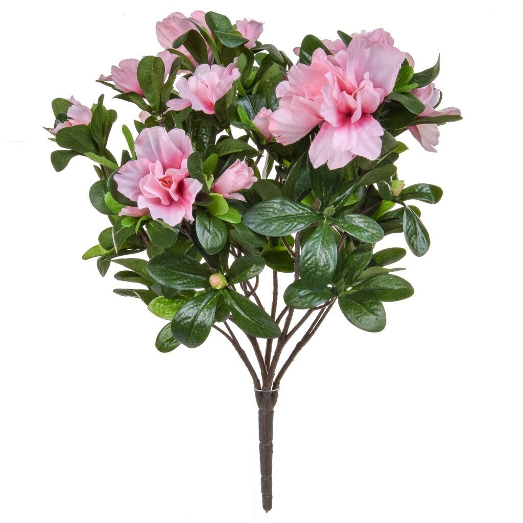 FUCHSIA FLOWERING AZALEA BUSH PINK 38CM