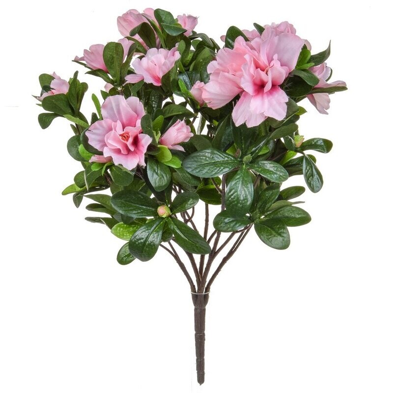 FUCHSIA FLOWERING AZALEA BUSH PINK 38CM