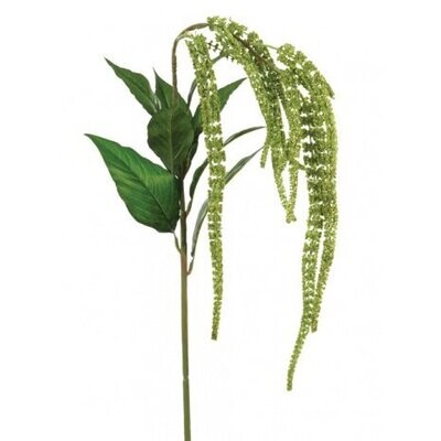 Green 110cm Amaranthus Spray