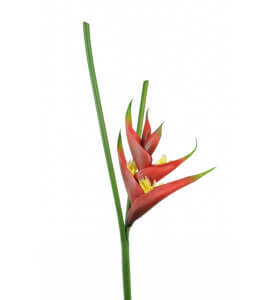 Artificial Heliconia Flower - 85cm