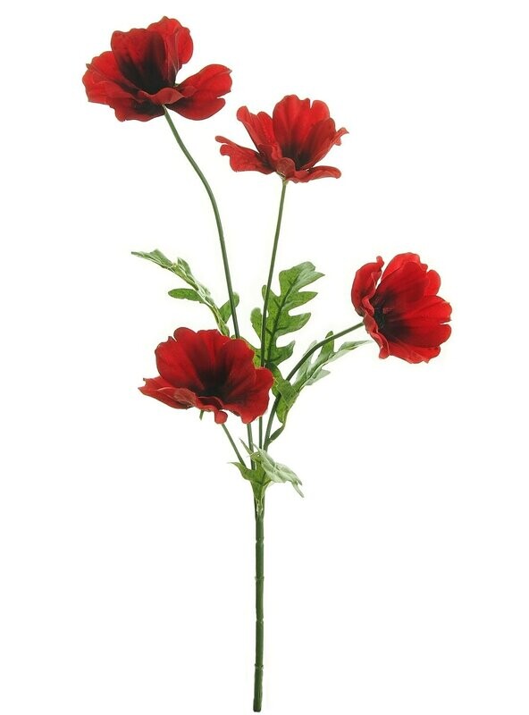 Wild Meadow Poppy Spray Red