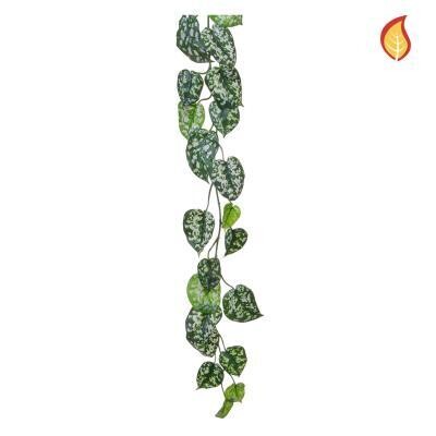 Scindapsus Garland DB 155CM FR (Buy 6 & get 10% off)