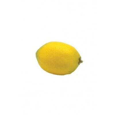 Artificial Lemons (weighted ) Buy Box of 6 and get 10%