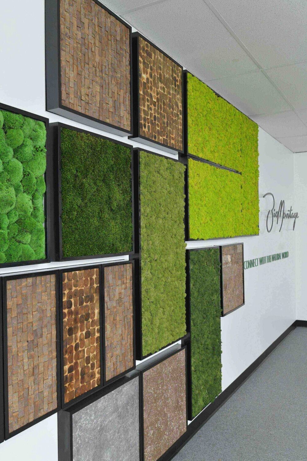 BioMontage  Upcycled Bark in Gloss Frame