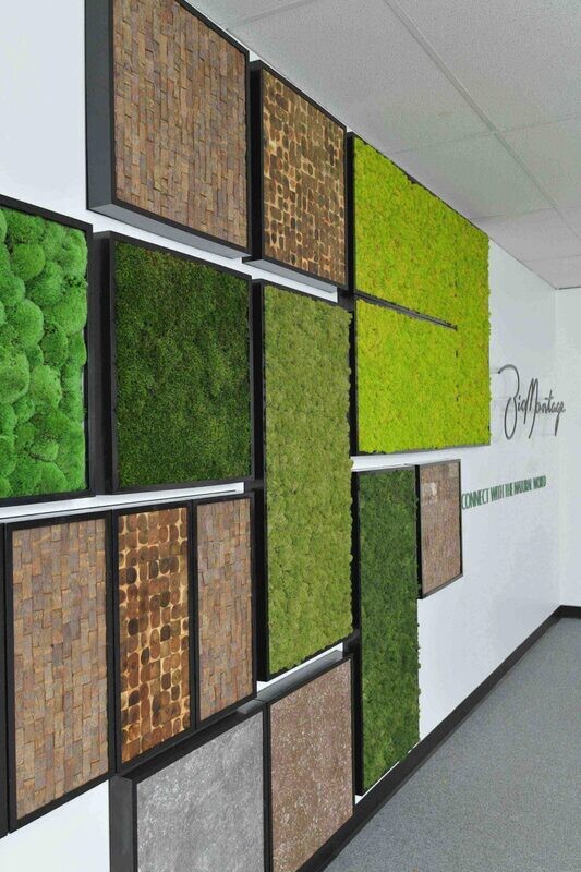BioMontage  Upcycled Bark in Gloss Frame